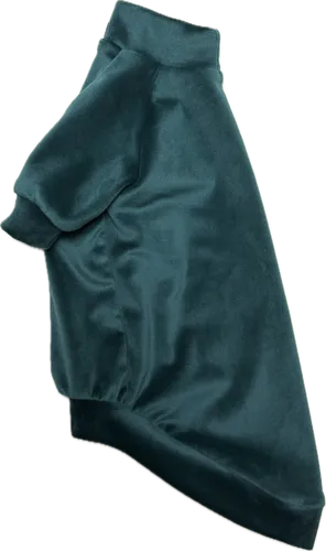 велюр худі петроль розмір L за 450 грн - одяг для кота сфінкса